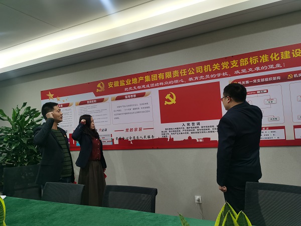 安徽鹽業(yè)地產(chǎn)集團機關第一黨支部開展“佩黨徽、誦誓詞、贈黨章、上黨課”黨員教育活動